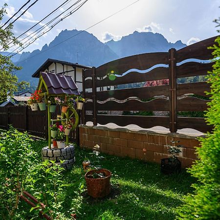Hotel Casa Ramino Buşteni Esterno foto
