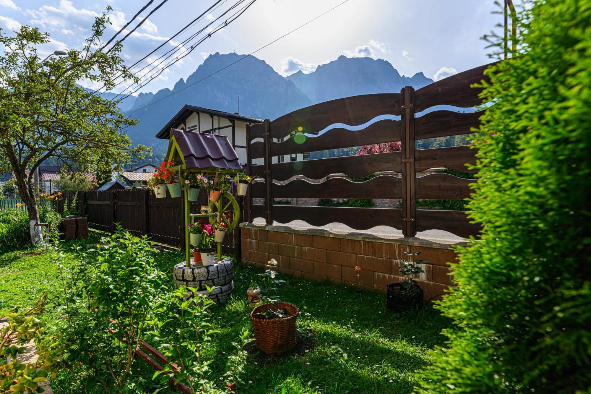 Hotel Casa Ramino Buşteni Esterno foto