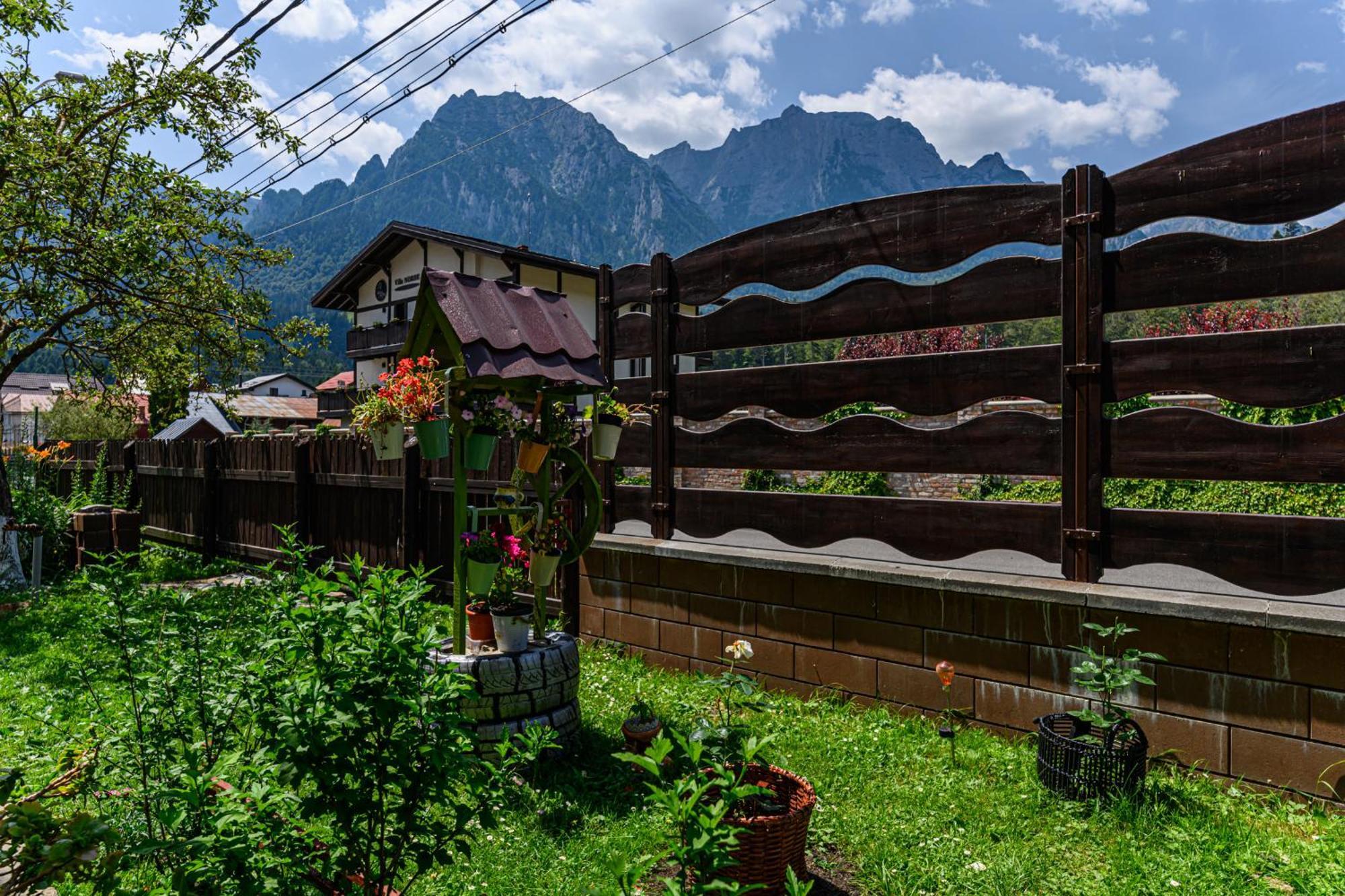 Hotel Casa Ramino Buşteni Esterno foto