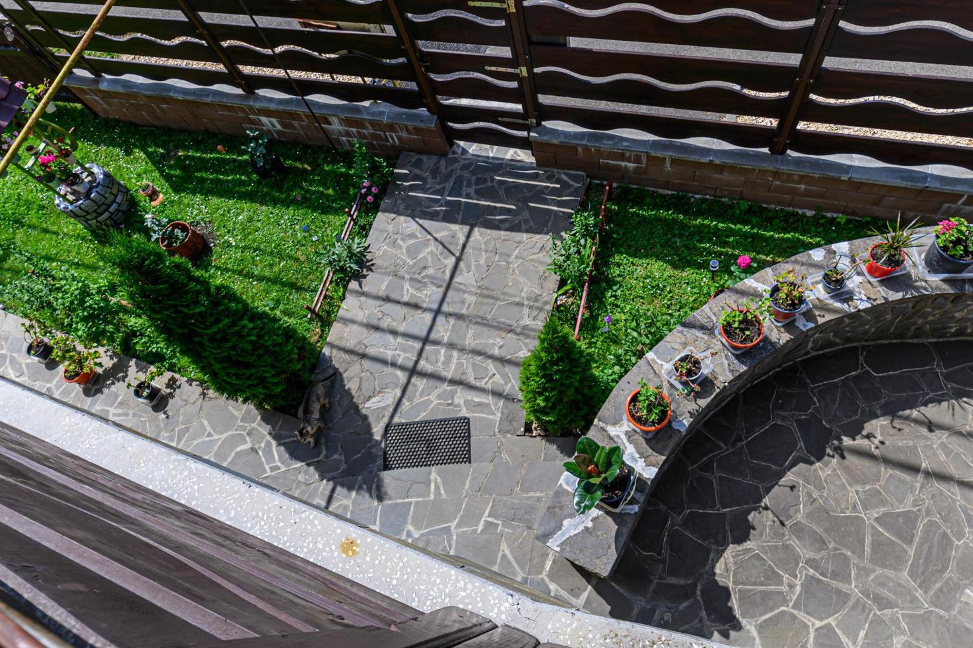 Hotel Casa Ramino Buşteni Esterno foto